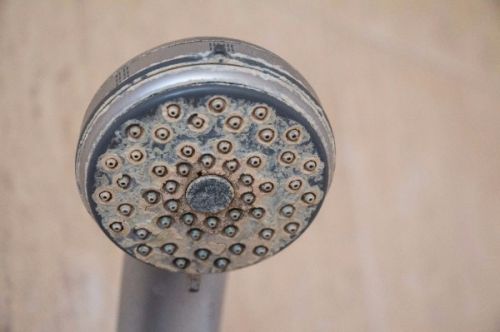 Hard water - shower head