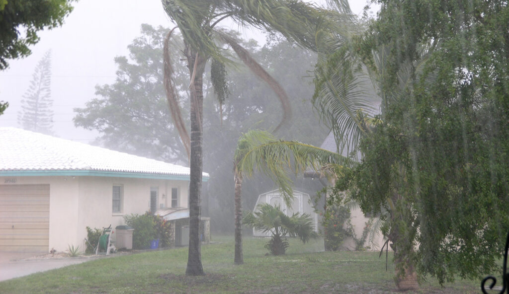 Hurricane - Florida storms